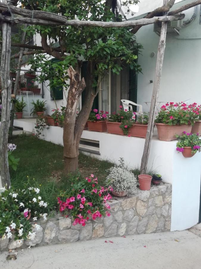 Sorrento Studios Lemons Hill Exterior photo