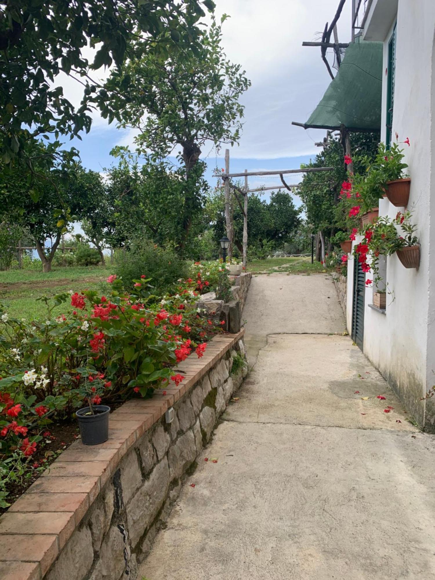 Sorrento Studios Lemons Hill Exterior photo