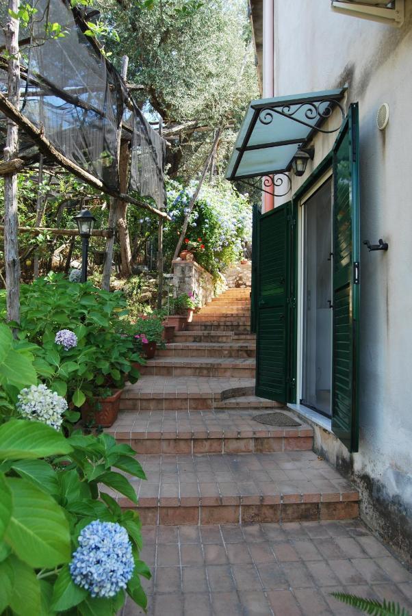 Sorrento Studios Lemons Hill Exterior photo