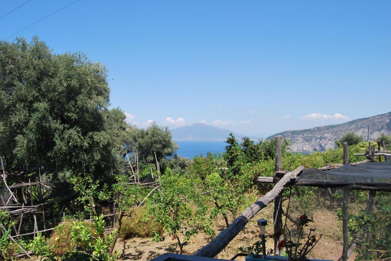Sorrento Studios Lemons Hill Exterior photo